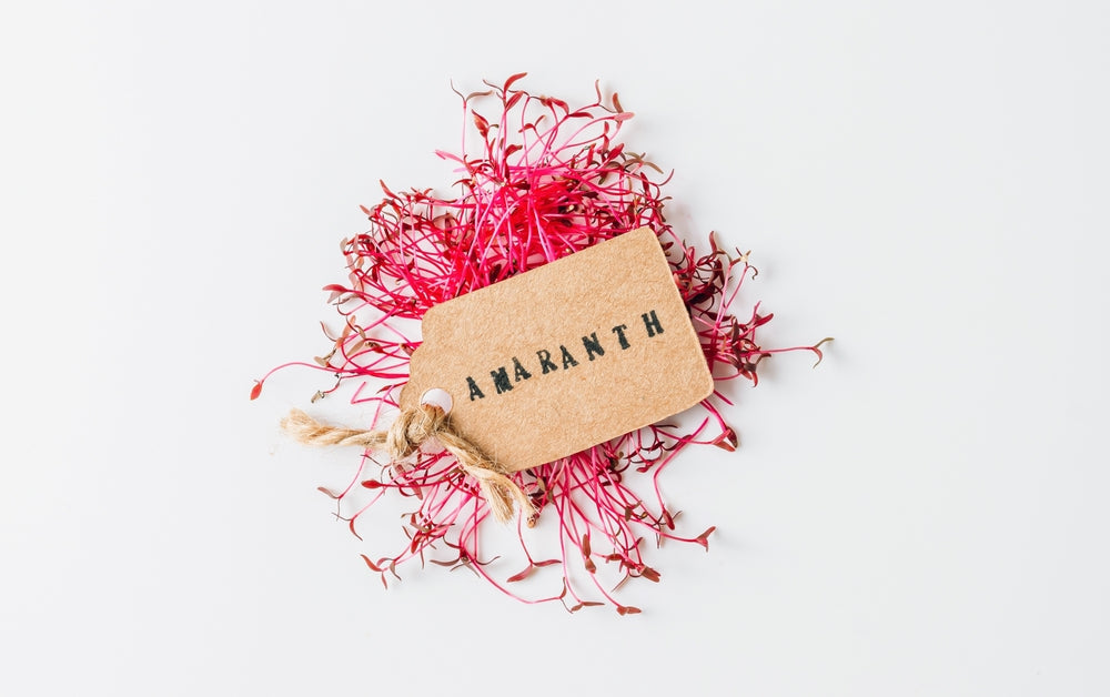 Why Amaranth Microgreens Are a Superfood You Shouldn’t Ignore