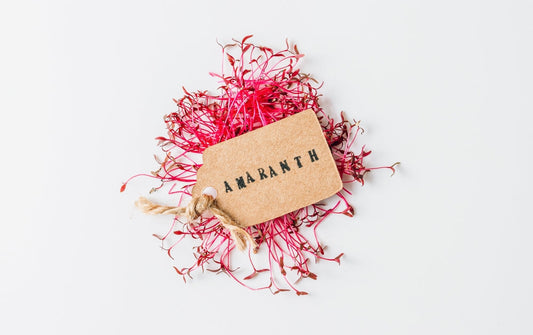 Why Amaranth Microgreens Are a Superfood You Shouldn’t Ignore