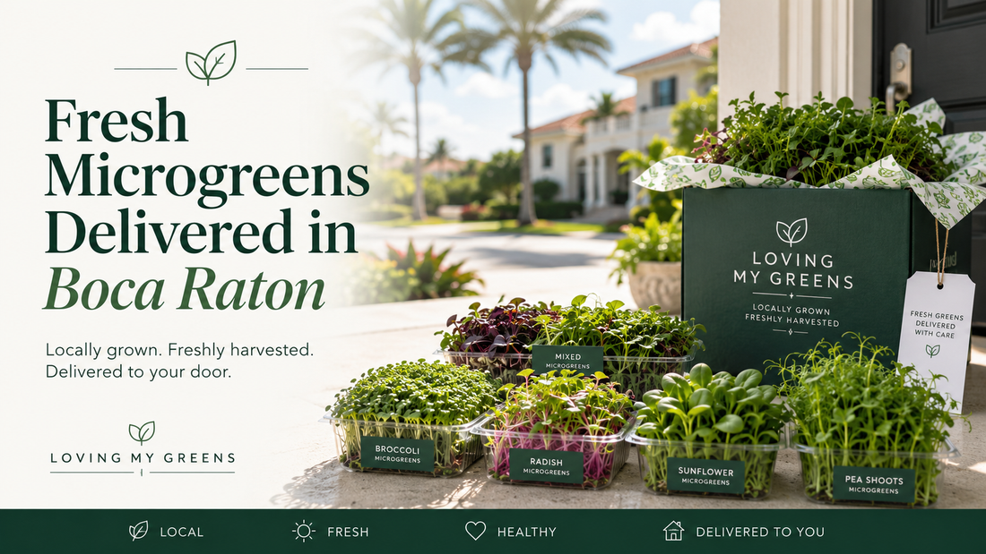 Fresh Microgreens Delivery in Boca Raton, FL — Straight from Farm to Your Door