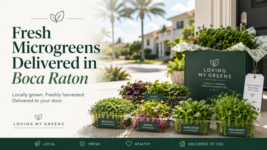 Fresh Microgreens Delivery in Boca Raton, FL — Straight from Farm to Your Door