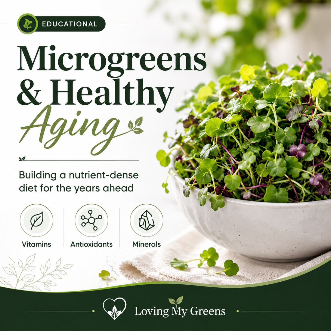 Microgreens and Healthy Aging: Building a Nutrient-Dense Diet for the Years Ahead